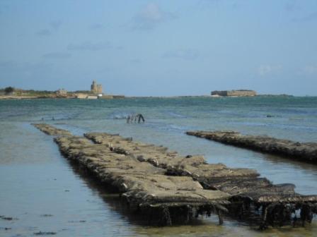 Manoir En Cotentin , Tamerville Exterior foto